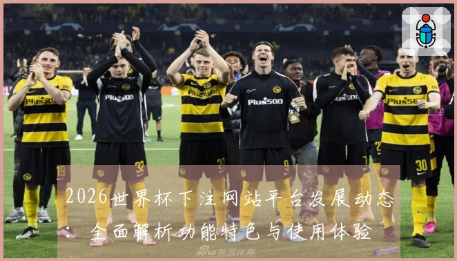 2026世界杯下注网站平台发展动态：全面解析功能特色与使用体验