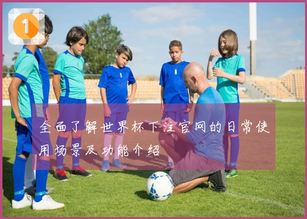 全面了解世界杯下注官网的日常使用场景及功能介绍