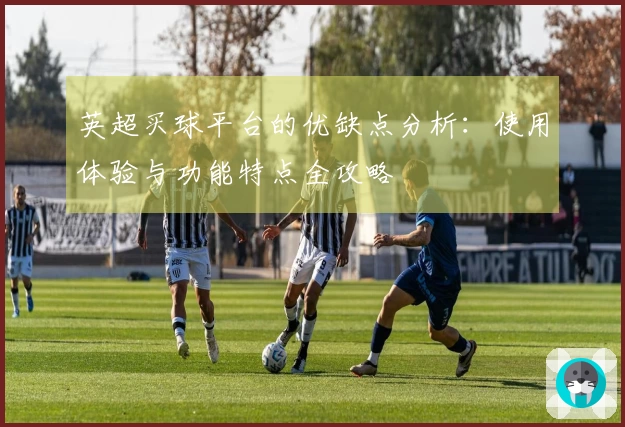 英超买球平台的优缺点分析：使用体验与功能特点全攻略