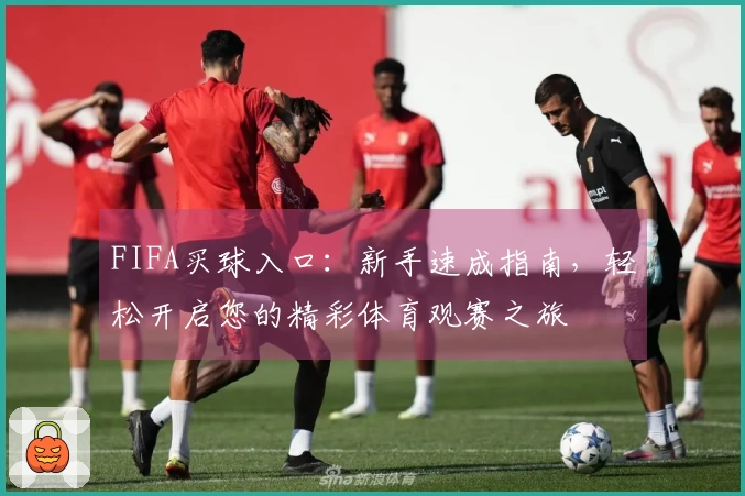 FIFA买球入口：新手速成指南，轻松开启您的精彩体育观赛之旅